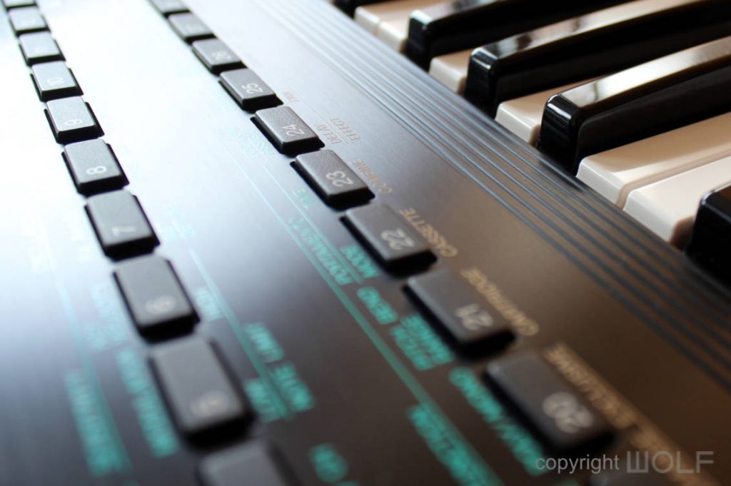 Yamaha DX11 Synthesizer (1987) Wolf Review