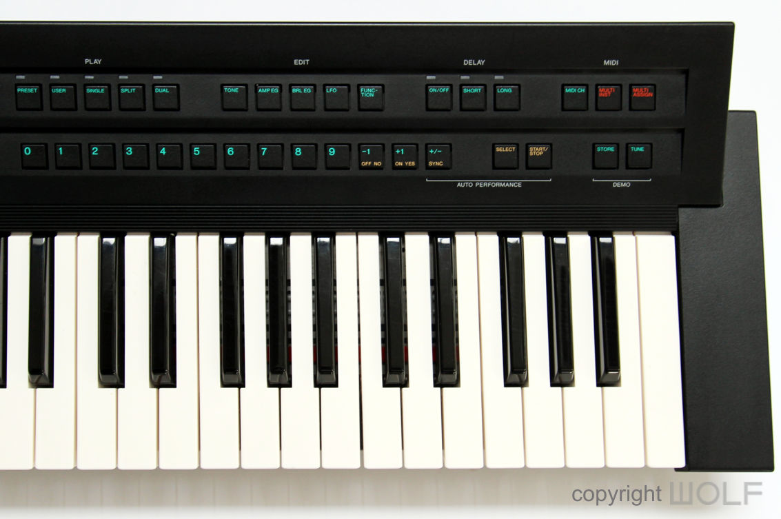 Yamaha DS55 Synthesizer (1988) | Wolf Review Yamaha DS55 Synthesizer (1988) | Wolf Review