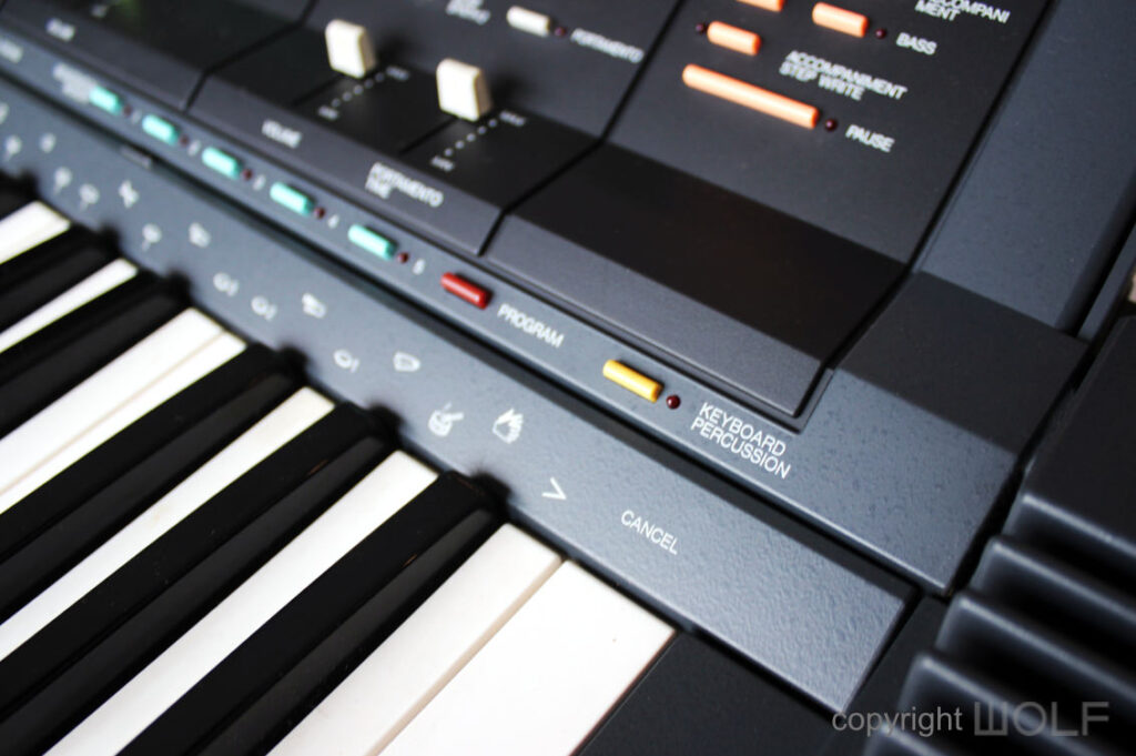 Yamaha Portatone PSR6300 Keyboard (1986) Wolf Review
