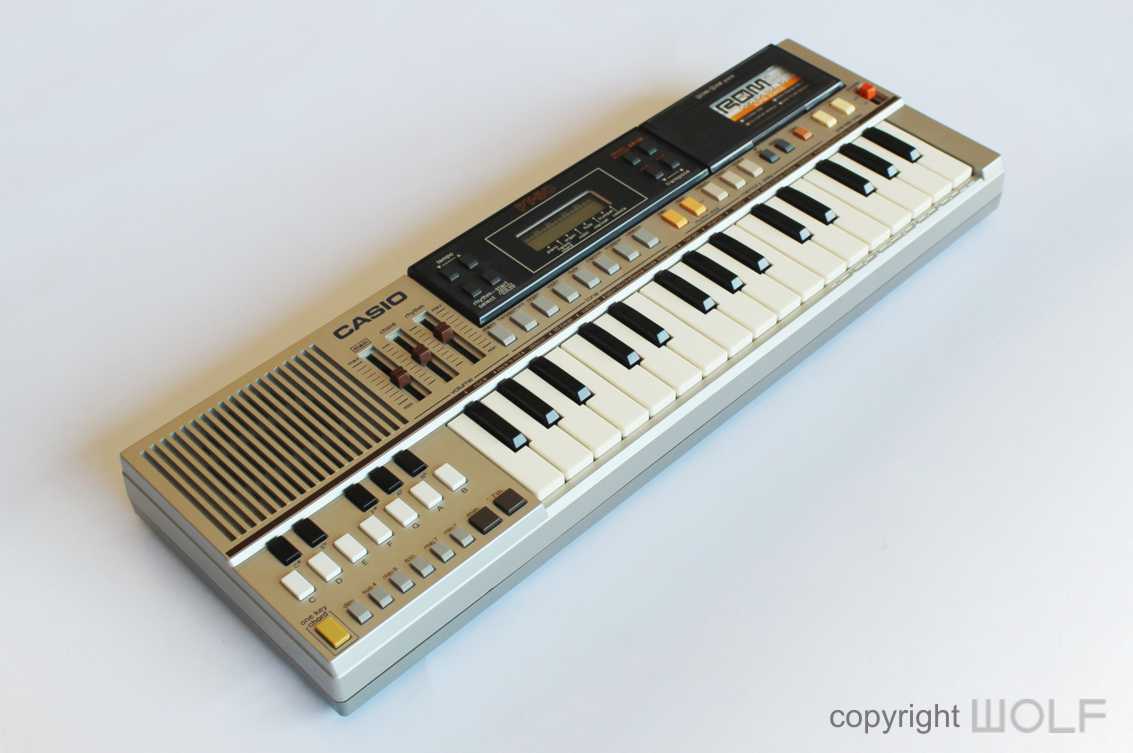 Bane Dyrt Præstation CASIO PT-50 Keyboard (1983) | Wolf Review