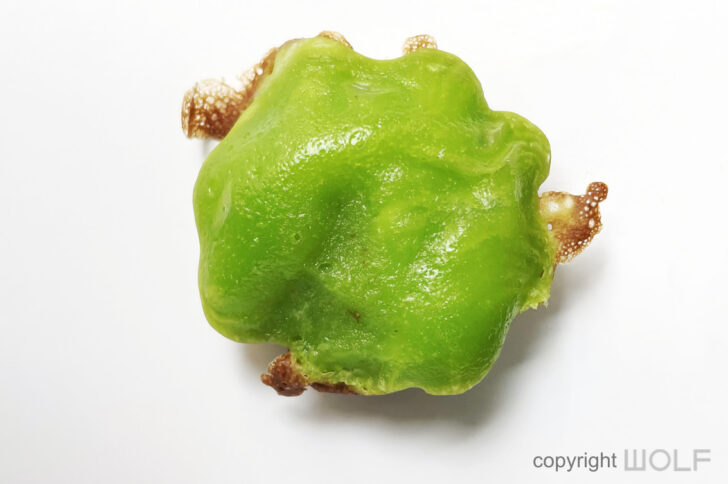 Top view